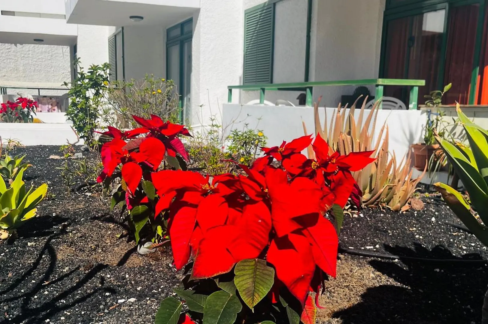 Beach And Yumbo Cozy Home Maspalomas  España